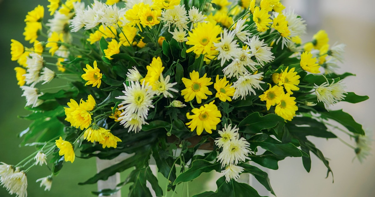 CSS Specificity Hell: How to Override 47 Important Declarations