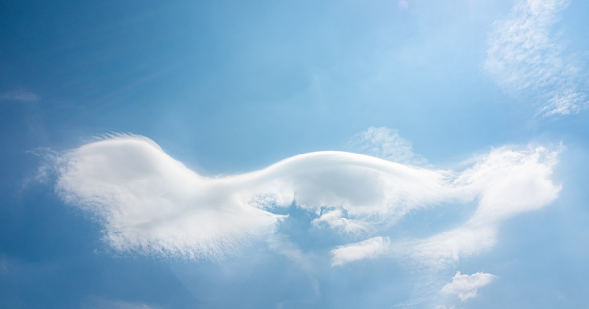 Duplicator Migration Failed: Check MySQL User Privileges