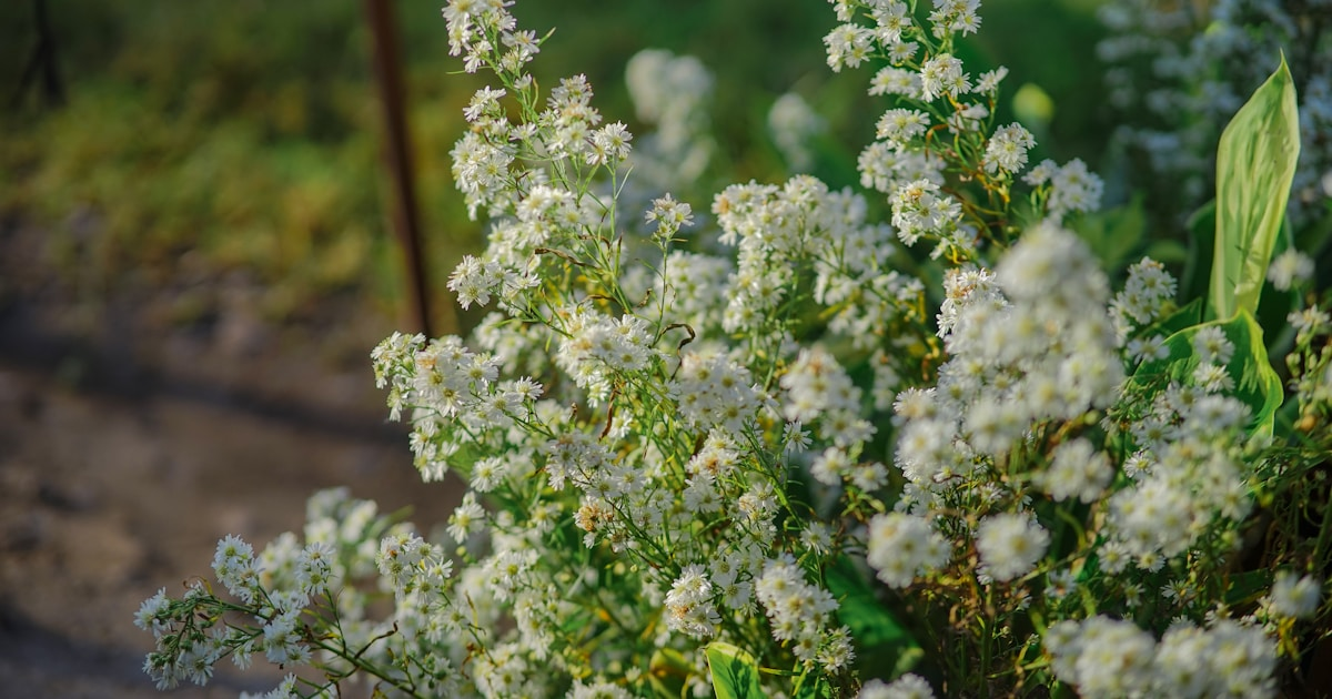 ThemeForest Bundled Plugins Are a Security Liability